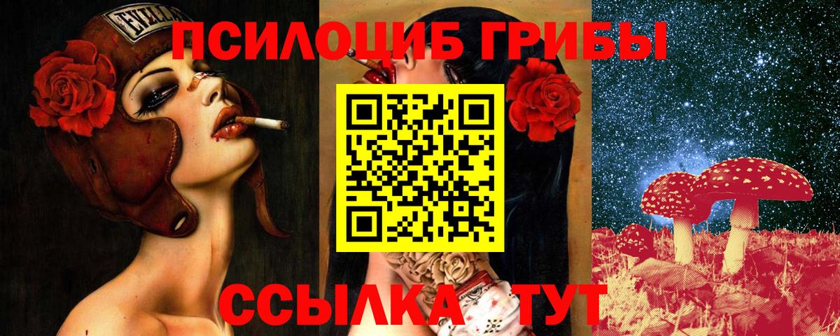 Псилоцибиновые грибы мицелий  Вход с VPN  Анжеро-Судженск 