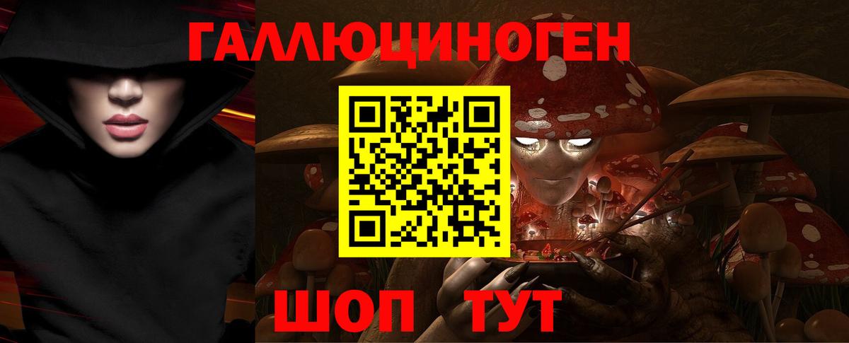 Псилоцибиновые грибы Psilocybe Анжеро-Судженск
