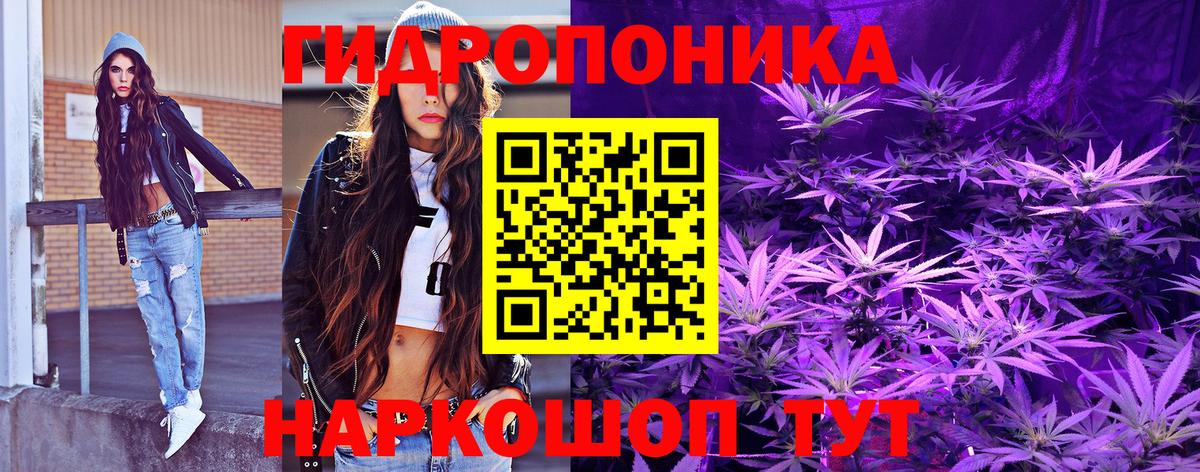 Бошки Шишки ГИДРОПОН  Вход с VPN  Анжеро-Судженск  Шишки марихуана ГИДРОПОН  МАРИХУАНА White Widow 